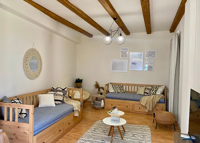 Kekpillango Vendeghaz, *