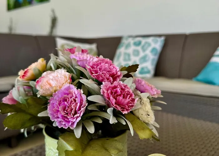 Kekpillango Vendeghaz, *